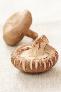 shitake